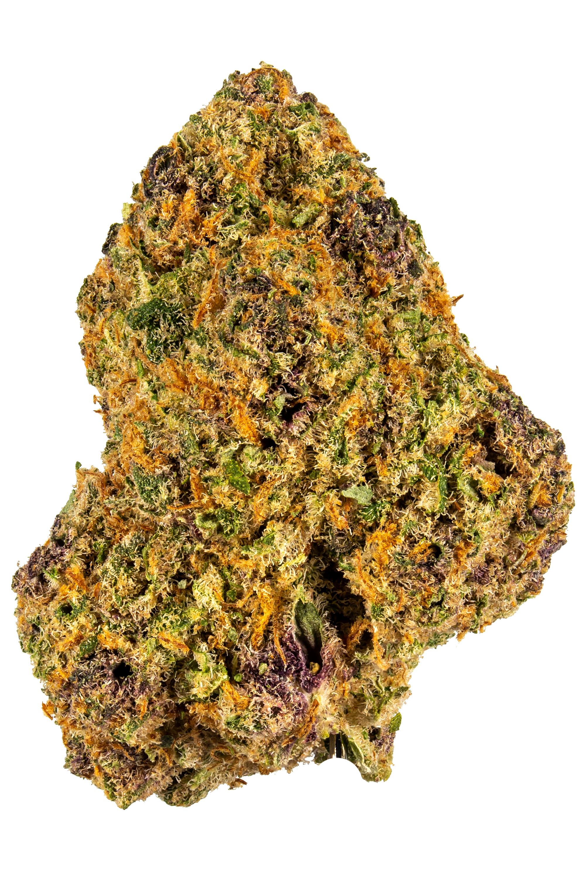 Purple Tonic - Hybrid Cannabis Strain