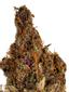 Purple Wookie Hybrid Cannabis Strain Thumbnail