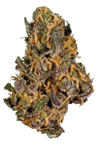 Qleaner - Hybrid Cannabis Strain