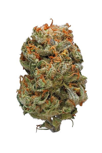 Quantum Kush - Sativa Cannabis Strain