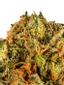 Rainbow Cookies Hybrid Cannabis Strain Thumbnail