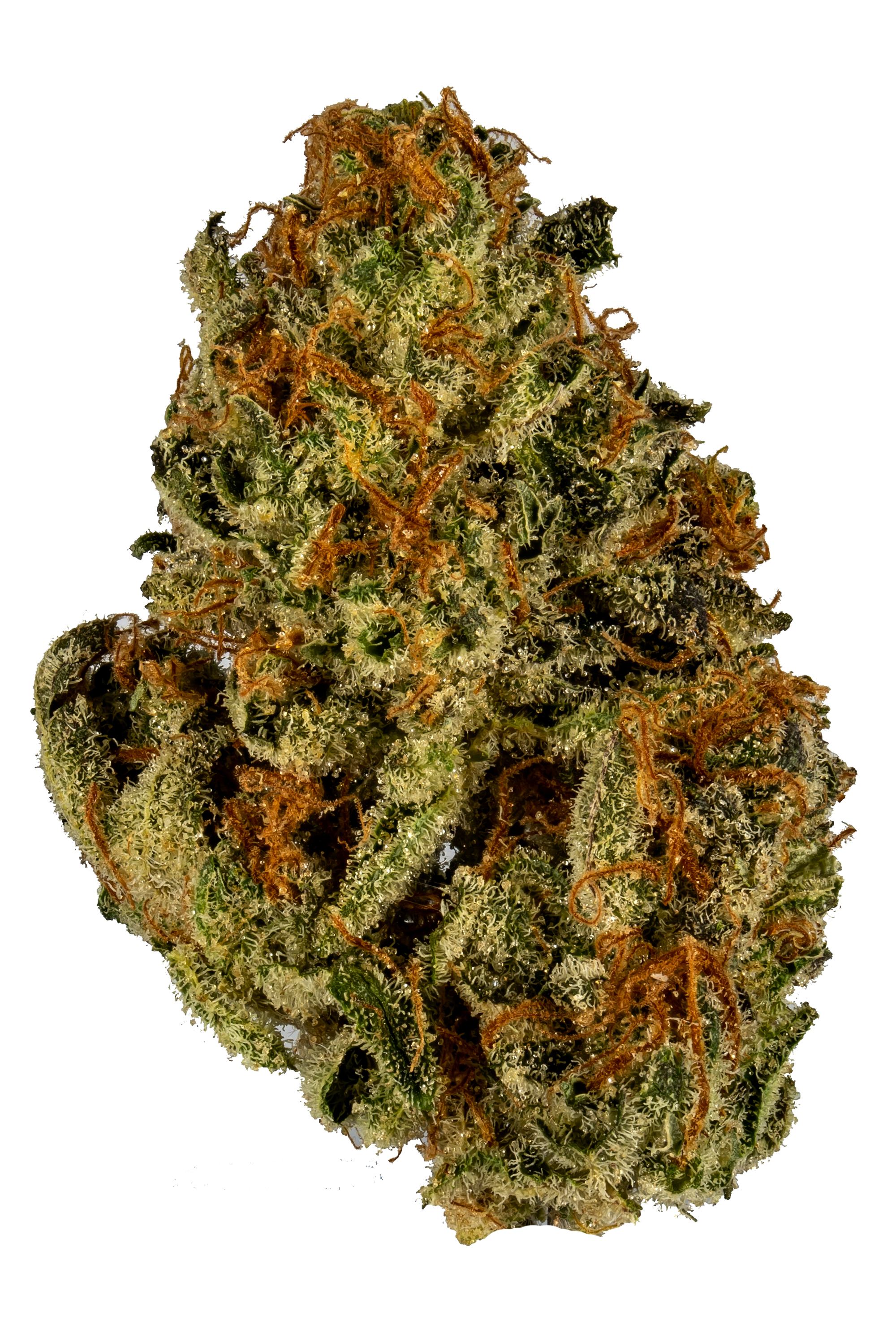 Rainmaker - Hybrid Cannabis Strain