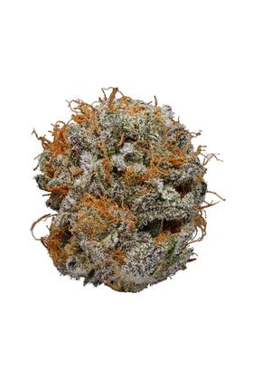 Raspberry Kush - Indica Cannabis Strain