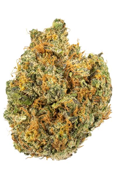 Raspberry Picker - Hybrid Cannabis Strain