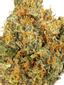 Raspberry Picker Hybrid Cannabis Strain Thumbnail