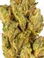 Raw OG Hybrid Cannabis Strain Thumbnail