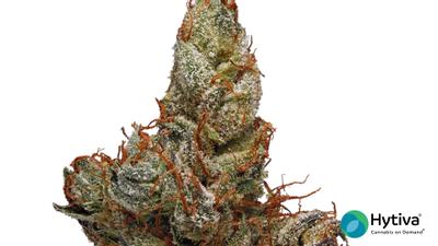 Recon - Hybrid Cannabis Strain
