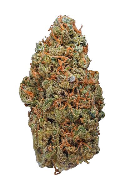 Red Congolese - Sativa Cannabis Strain