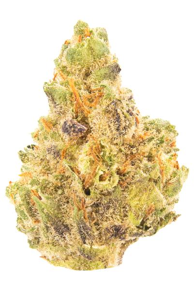 Red Dragon - Híbrida Cannabis Strain