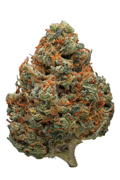 Red Poison - Hybrid Cannabis Strain