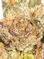 Red Pop #5 Hybrid Cannabis Strain Thumbnail