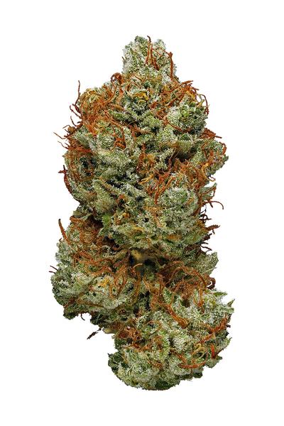 Redwood Kush - Индика Каннабис сұрыпы