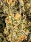 Refined Taste Hybrid Cannabis Strain Thumbnail