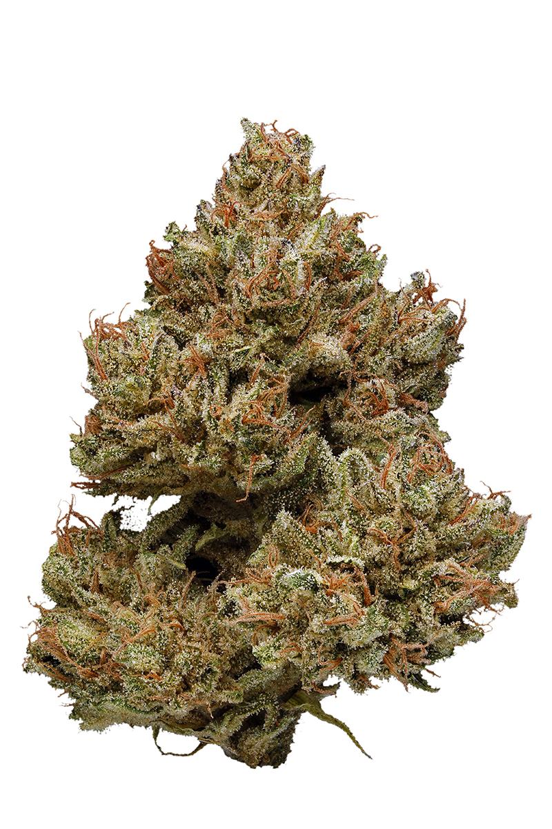 Remedy CBD - Hybrid Cannabis Strain