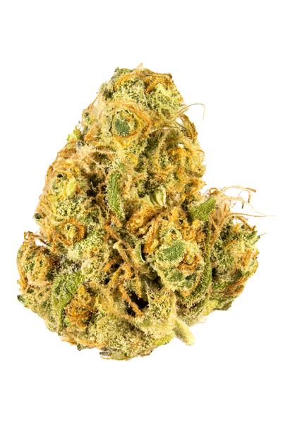 Riddler - 混合物 Cannabis Strain