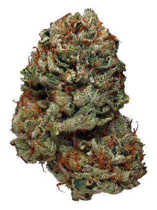 Rocklock - Hybrid Cannabis Strain