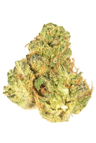 Rocky Dennis - Hybrid Cannabis Strain