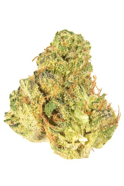 Rocky Dennis - 混合物 Cannabis Strain