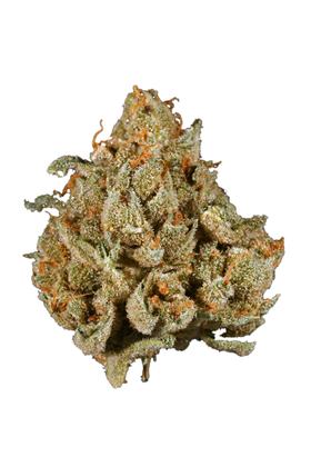 Rollex OG Kush - Indica Cannabis Strain