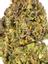 Rose Gold Hybrid Cannabis Strain Thumbnail