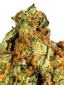 Rose OG Hybrid Cannabis Strain Thumbnail
