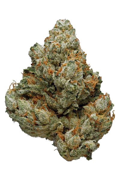 Royal Budline OG - Híbrida Cannabis Strain