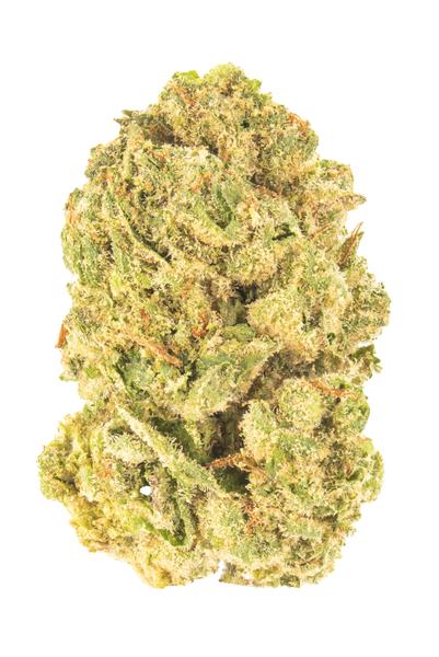 Royal Kush - Híbrido Cannabis Strain