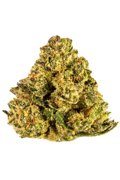 Rude Boi - Híbrida Cannabis Strain