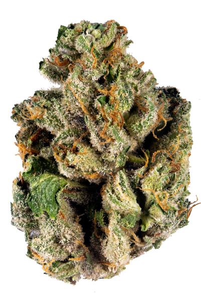 RudeBoi OG - Hybrid Cannabis Strain