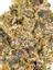 Runtz Hybrid Cannabis Strain Thumbnail