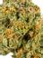 S'mores Gelato Hybrid Cannabis Strain Thumbnail