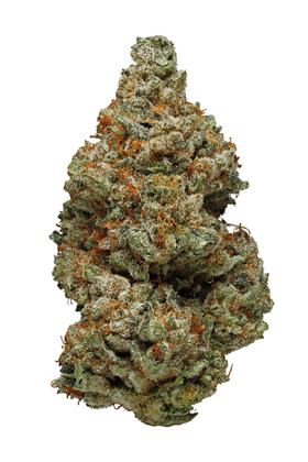 SAGE - Hybrid Cannabis Strain