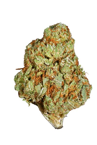 SD OG - Híbrida Cannabis Strain