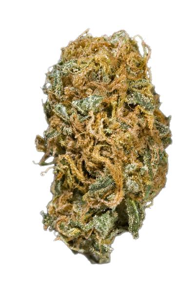 SD Orange - Hybrid Cannabis Strain