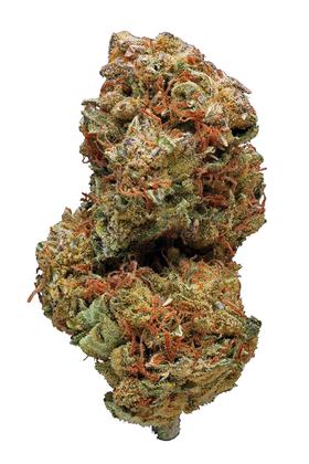 SFV Tahoe - Híbrido Cannabis Strain