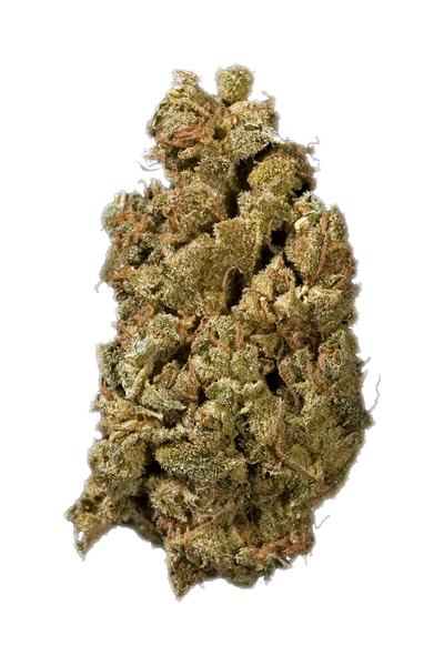 Sage Kush - Hybrid Cannabis Strain