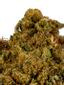 Samoas Hybrid Cannabis Strain Thumbnail