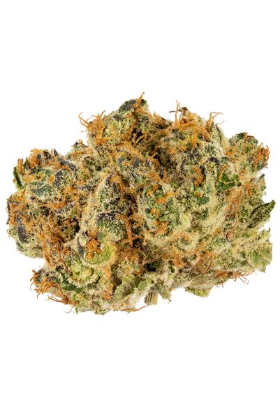 Sangiovese - Hybrid Cannabis Strain