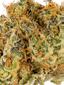 Sangiovese Hybrid Cannabis Strain Thumbnail