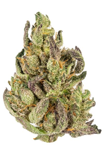 Sangria - Hybrid Cannabis Strain