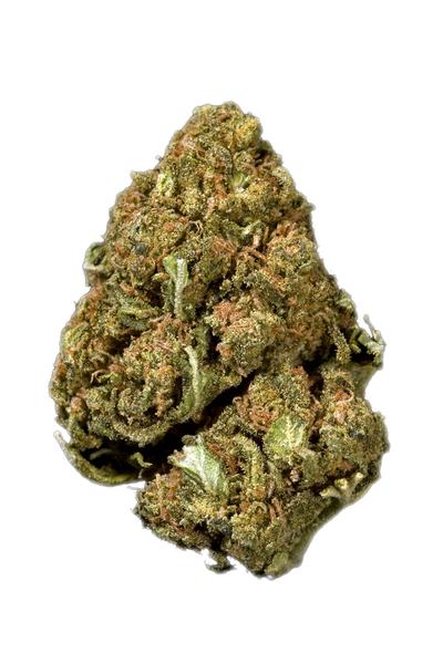 Santa Berry - Hybrid Cannabis Strain