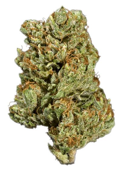 Satellite OG - Hybrid Cannabis Strain