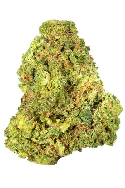 Scarlet Fire - Híbrida Cannabis Strain