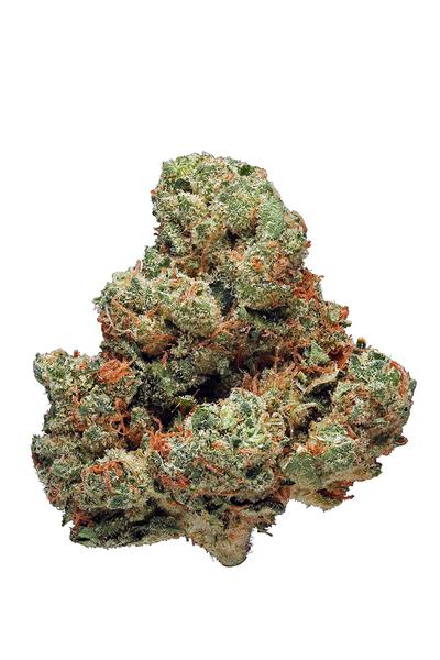 Scotts OG - Hybrid Cannabis Strain