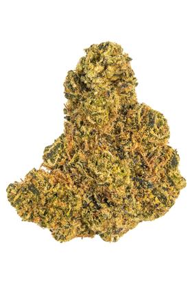 Seatown Lemon Haze - Híbrida Cannabis Strain