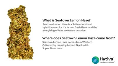 Seatown Lemon Haze - Hybrid Strain