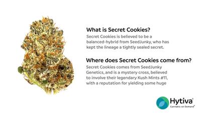 Secret Cookies - Hybrid Strain