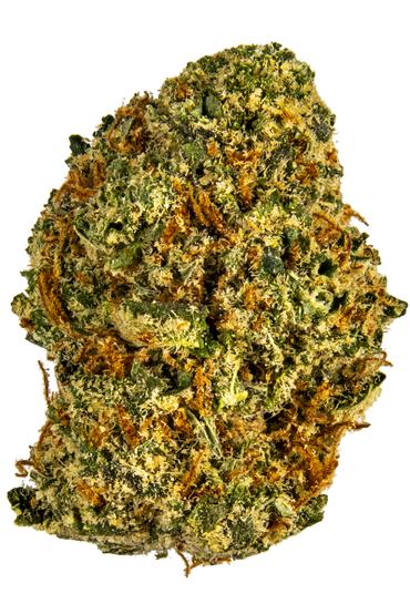 Sequoia Sherbert - Hybrid Cannabis Strain