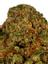 Sequoia Sherbert Hybrid Cannabis Strain Thumbnail