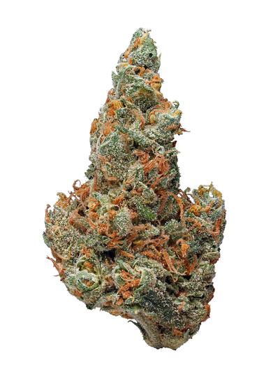 Shaman - Sativa Cannabis Strain